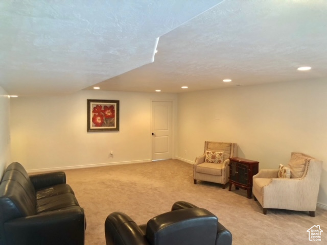 Carpeted living room featuring a textured ceiling