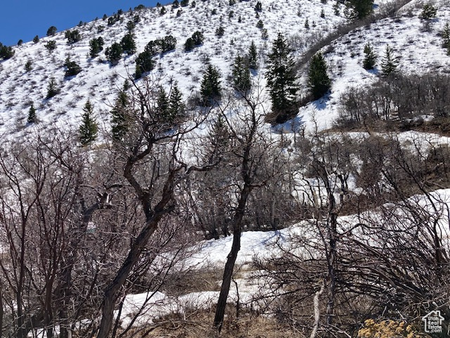 View of snowy landscape
