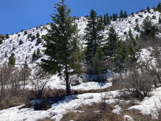 View of snow covered land