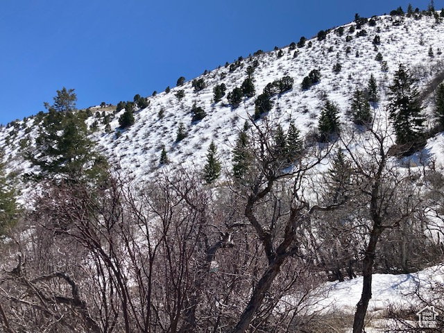 View of mountain view