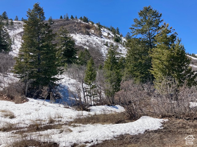 View of snow covered land