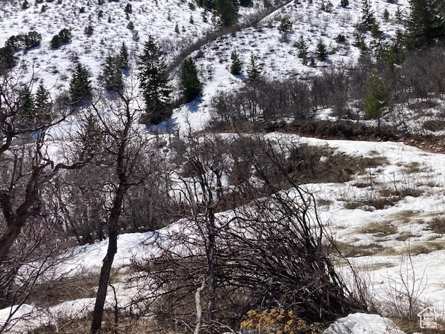 View of snowy landscape