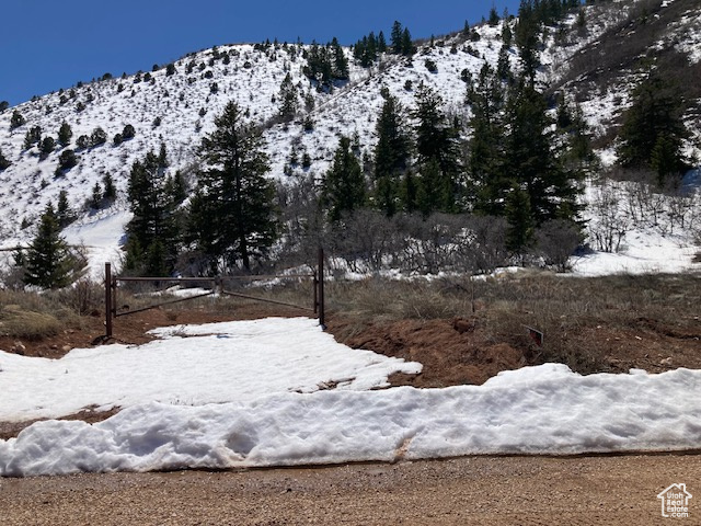 Yard covered in snow with a mountain view