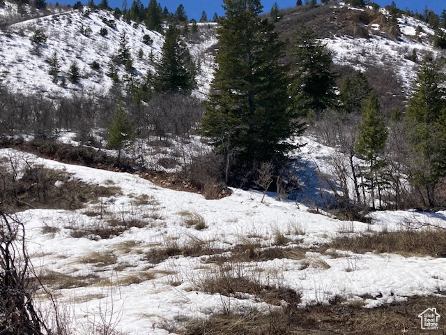 View of snowy landscape