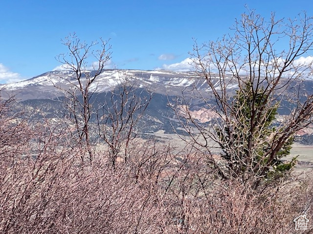 View of mountain view