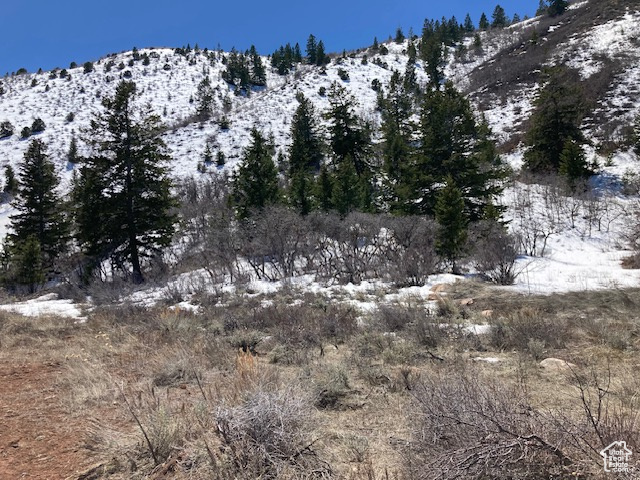 View of mountain feature