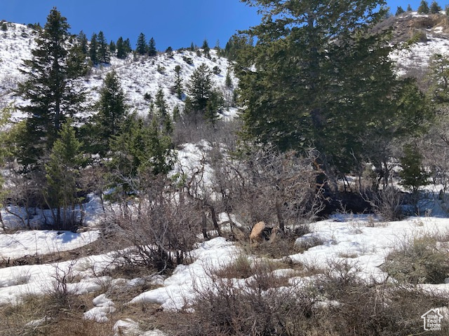 View of snow covered land