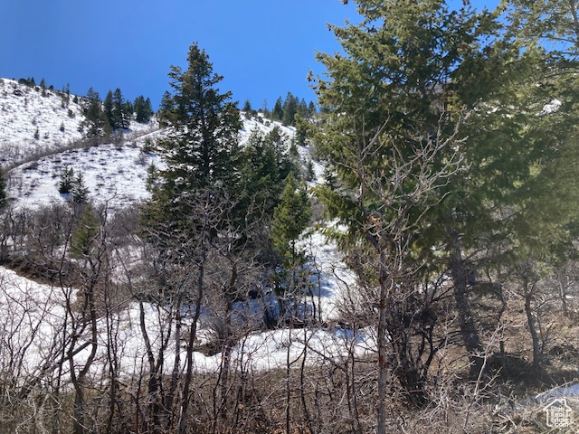 View of snowy view