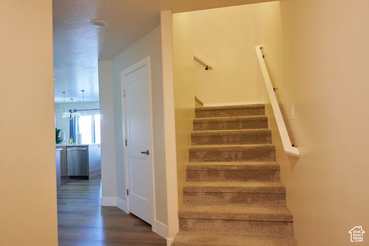 Stairway featuring dark wood-type flooring