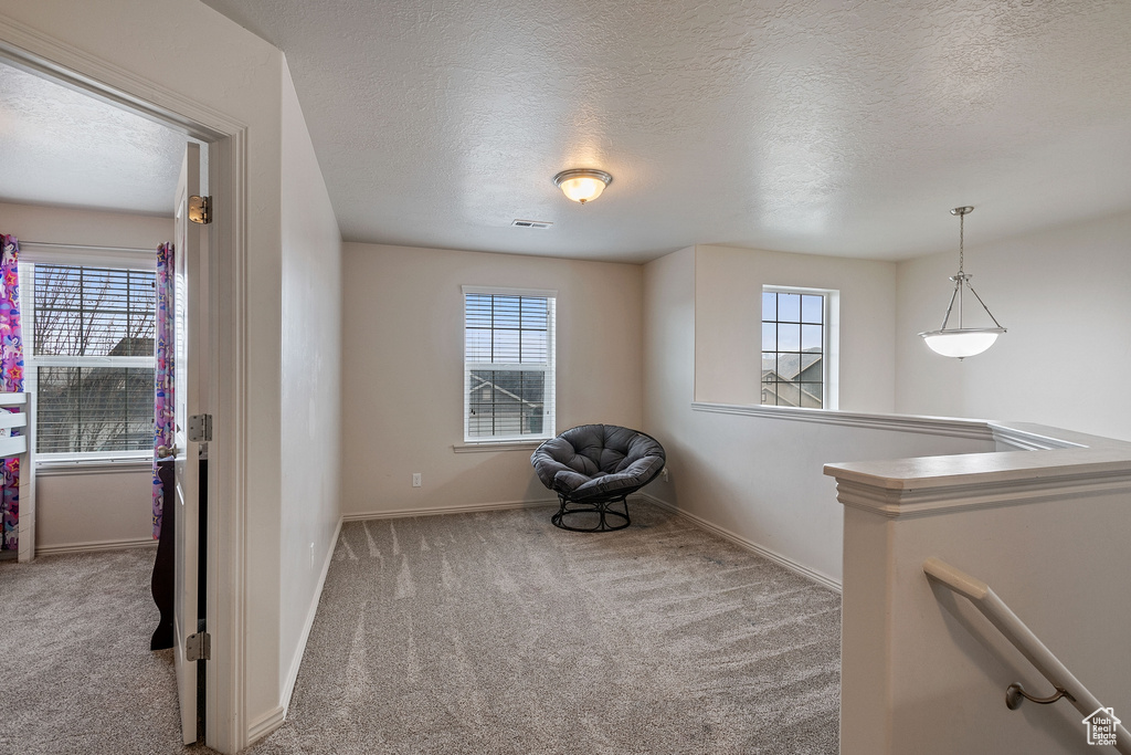 Unfurnished room featuring plenty of natural light, light colored carpet, and a textured ceiling