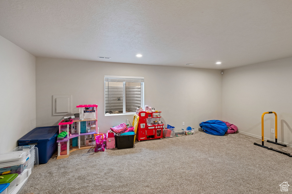 Rec room with a textured ceiling and carpet flooring
