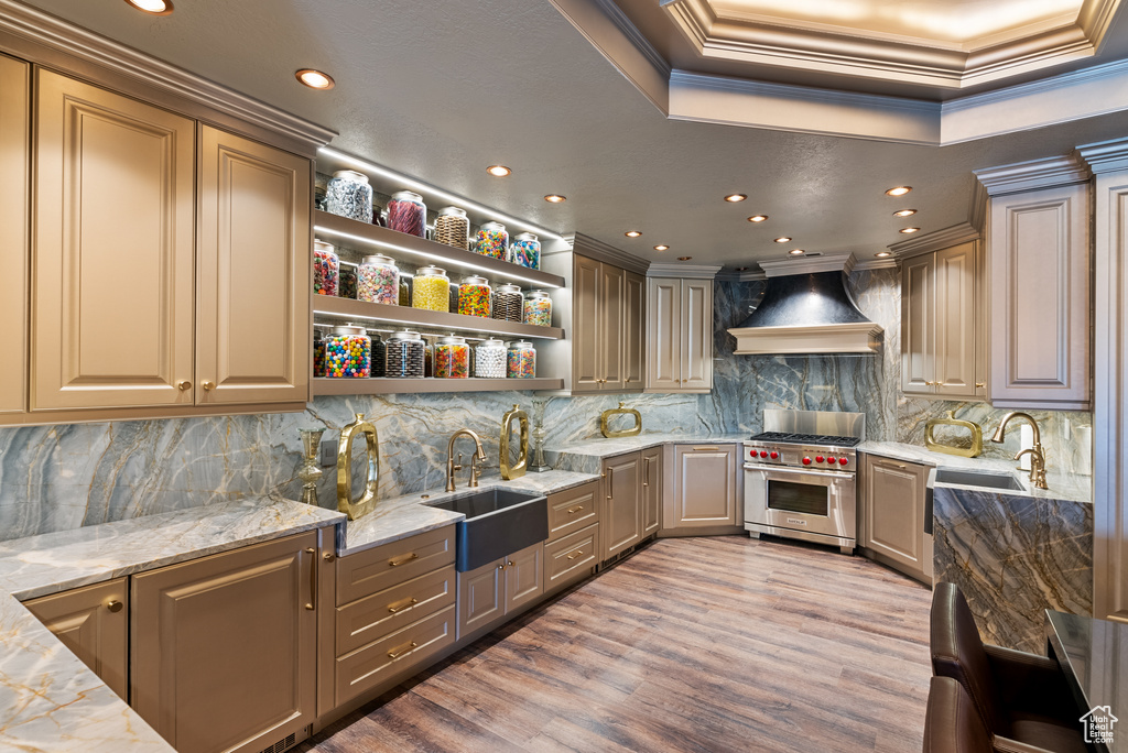 Kitchen with light stone counters, custom exhaust hood, sink, designer range, and dark wood-type flooring