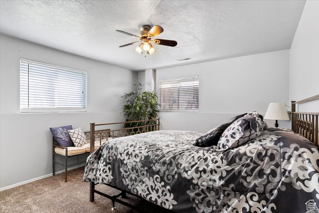 Bedroom featuring ceiling fan, carpet flooring, multiple windows, and a textured ceiling