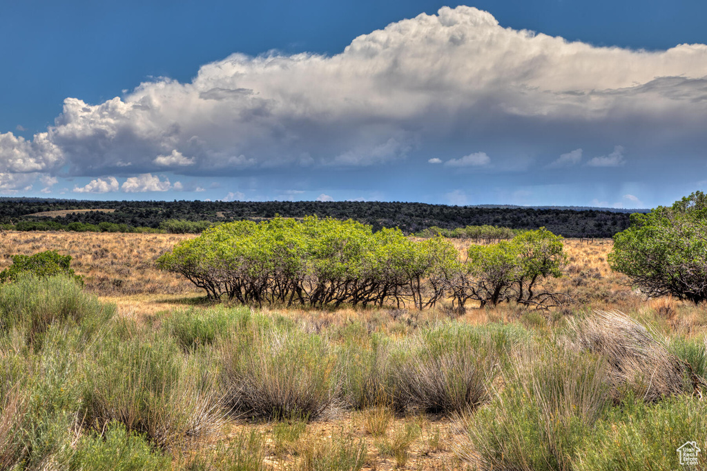 View of mother earth's splendor featuring a rural view