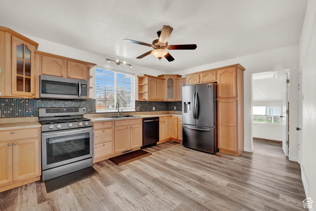Kitchen with light hardwood / wood-style floors, a healthy amount of sunlight, and stainless steel appliances