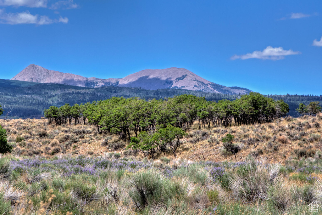 View of mountain view