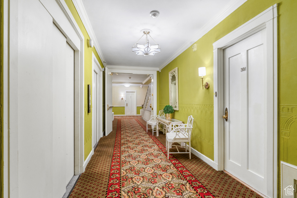 Corridor with dark colored carpet and crown molding