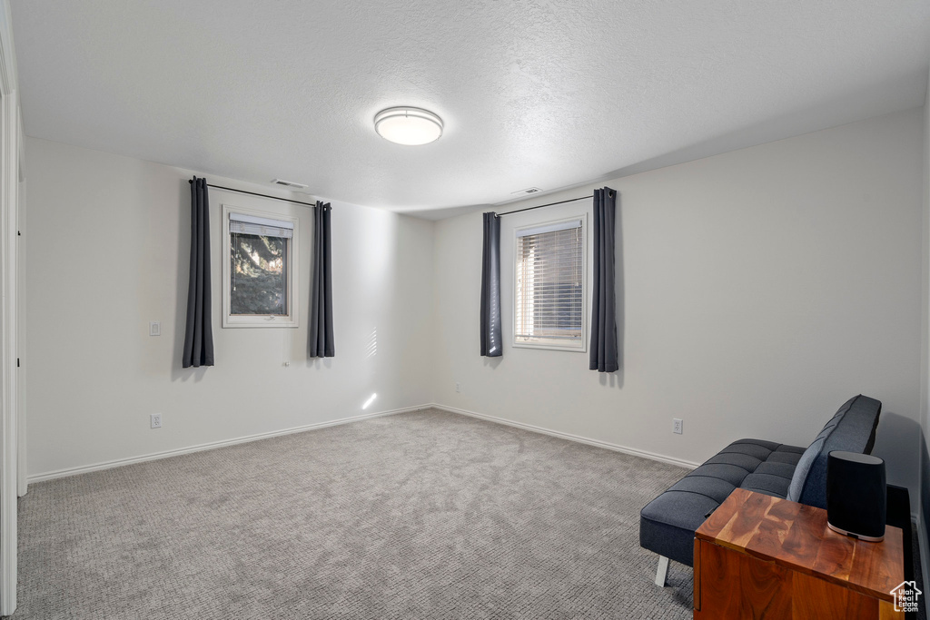 Unfurnished room with carpet and a textured ceiling