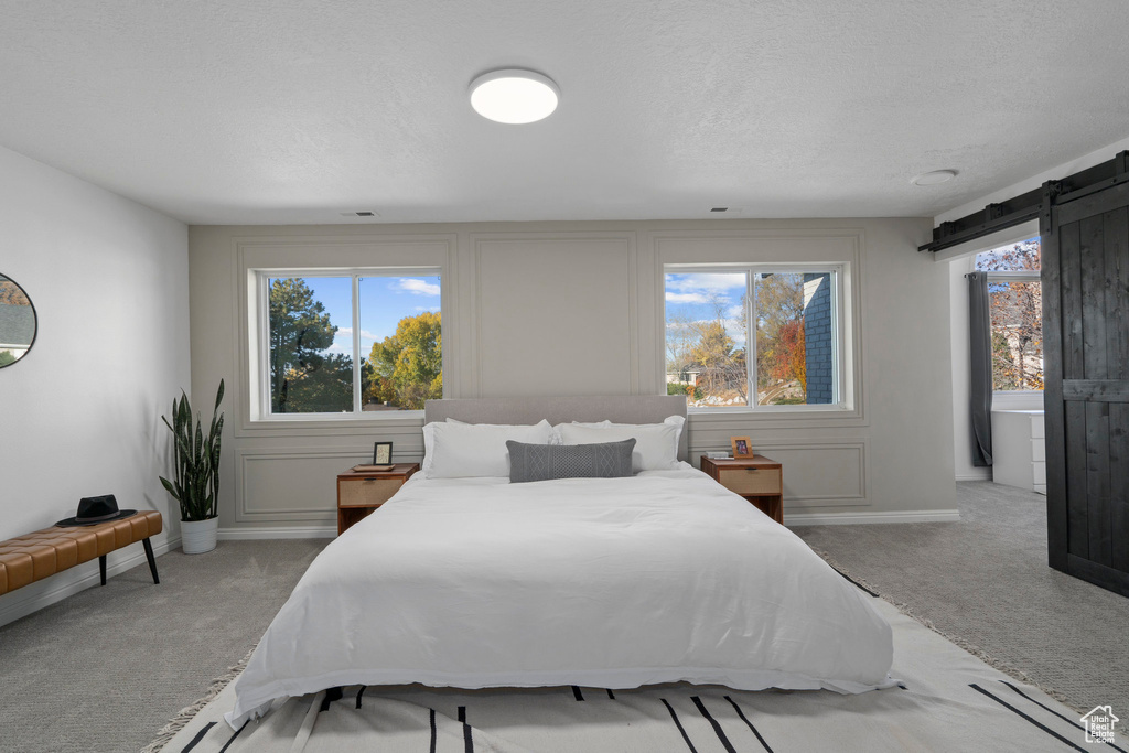 Bedroom with light colored carpet, multiple windows, a barn door, and a textured ceiling