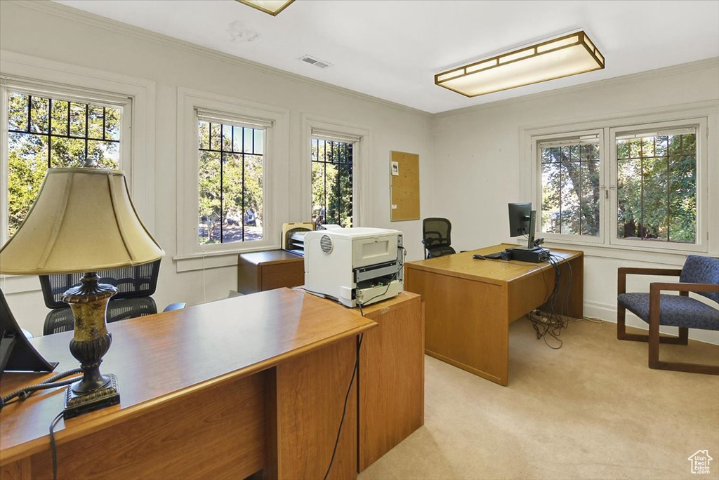 Carpeted office space with a healthy amount of sunlight and crown molding