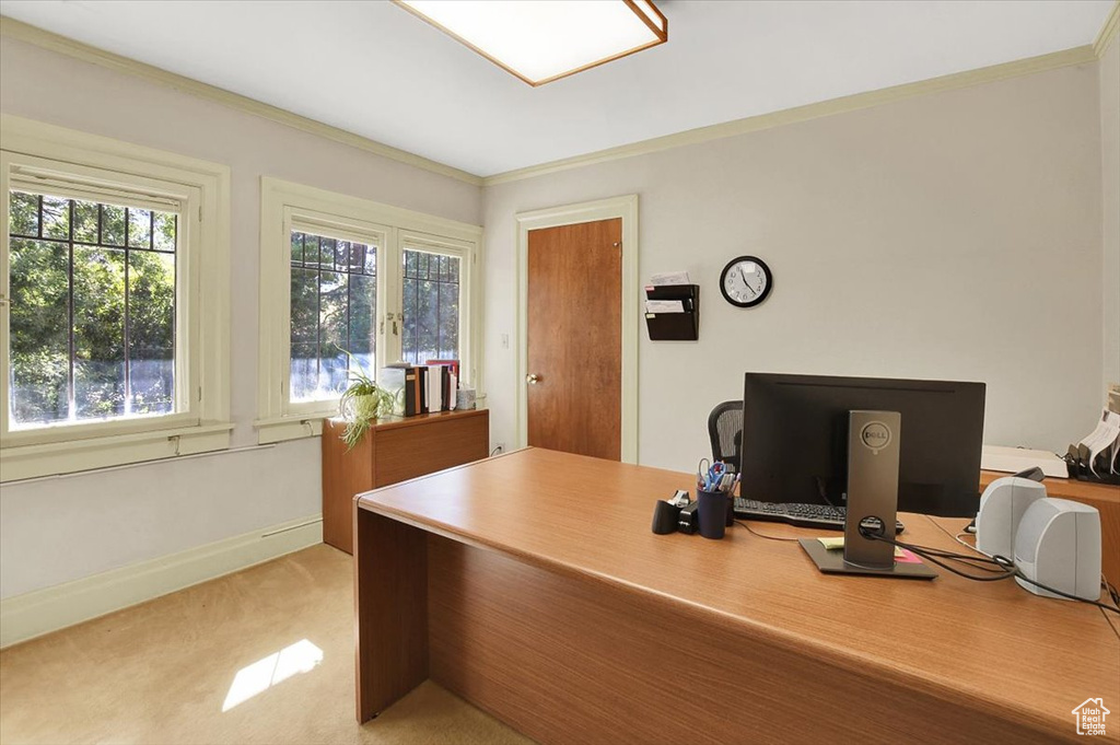 Office space with ornamental molding and light colored carpet