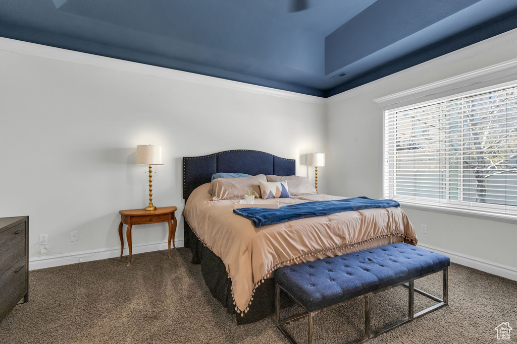 Bedroom featuring carpet and a tray ceiling
