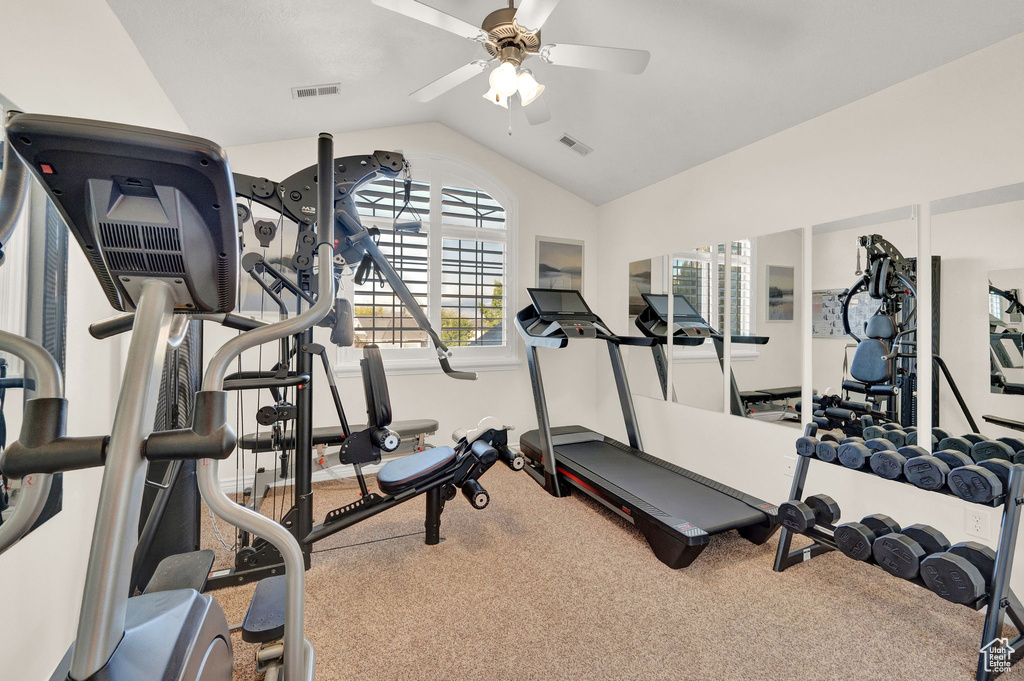 Workout area with lofted ceiling, carpet floors, and ceiling fan