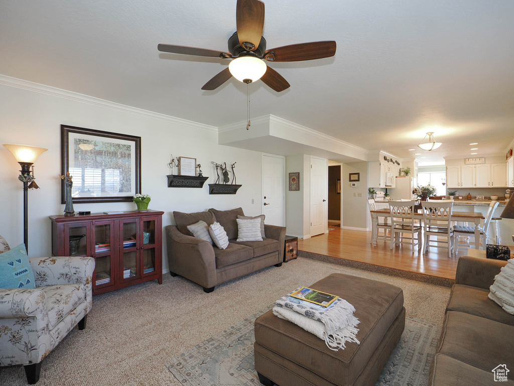 Living room featuring ornamental molding, light hardwood / wood-style floors, and ceiling fan