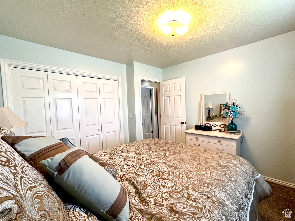 Bedroom with a closet, carpet, and a textured ceiling