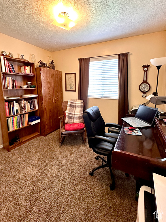 Office area with a textured ceiling and carpet
