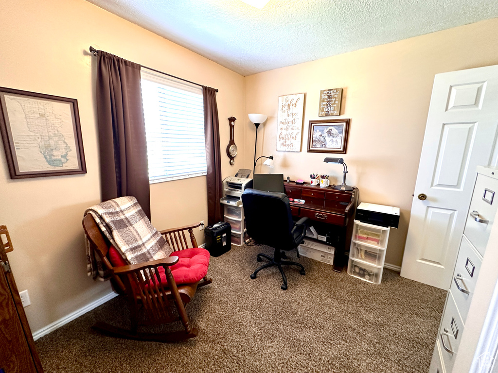 Carpeted home office featuring a textured ceiling