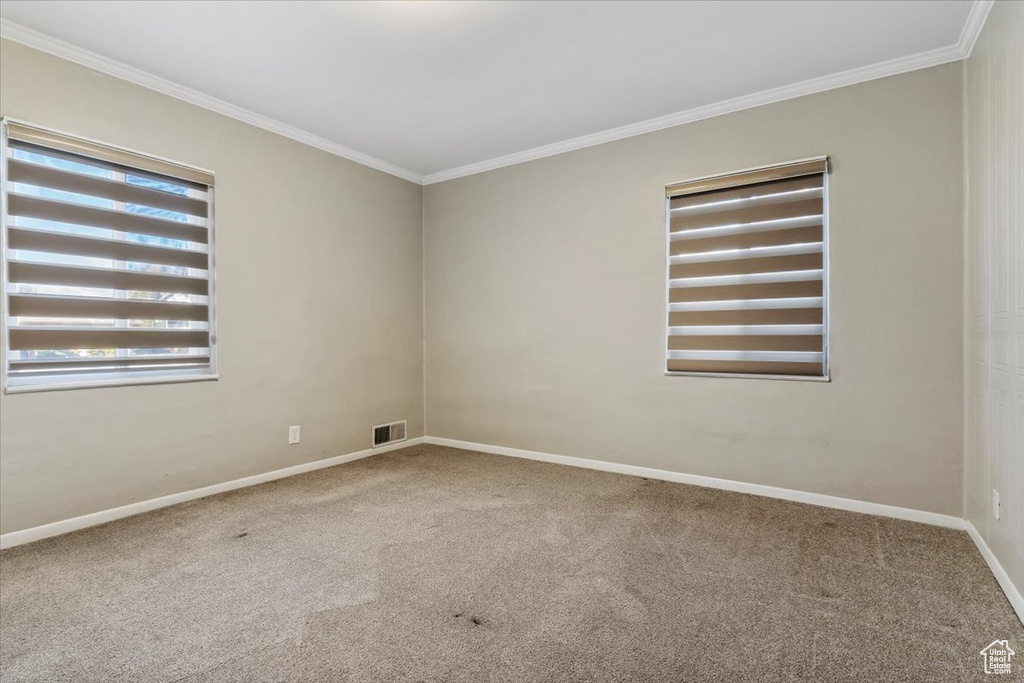 Spare room with light carpet and crown molding