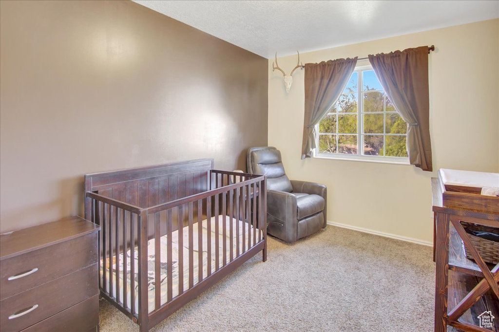 Carpeted bedroom with a nursery area