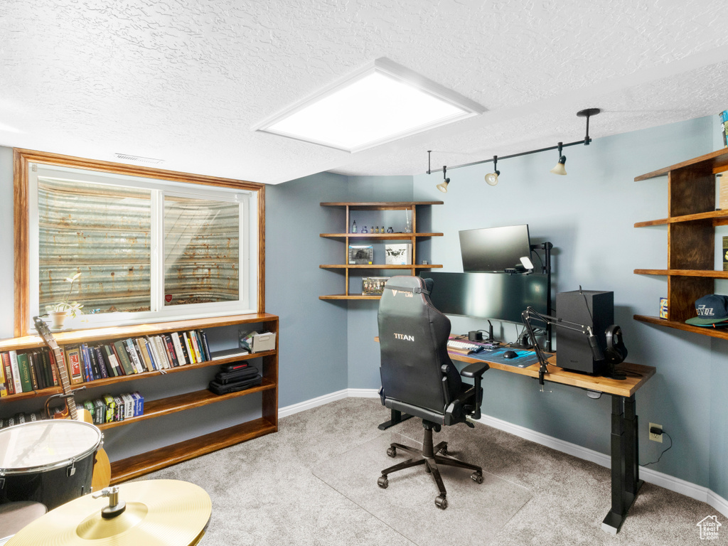 Office space with light colored carpet and a textured ceiling