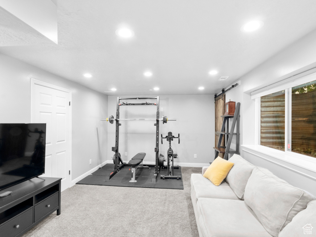 Exercise room featuring a healthy amount of sunlight, a barn door, and dark colored carpet