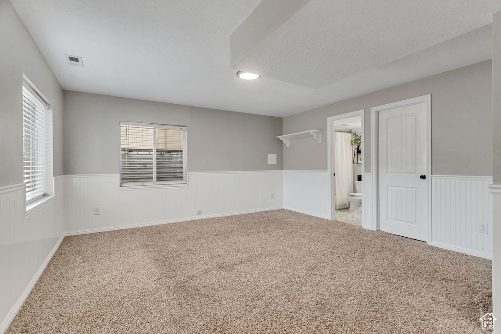 Spare room featuring a healthy amount of sunlight, light colored carpet, and a textured ceiling