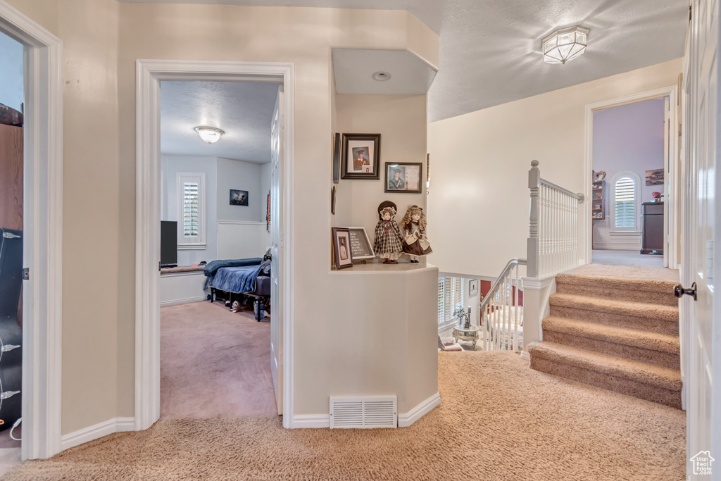 Hallway featuring a wealth of natural light and light colored carpet
