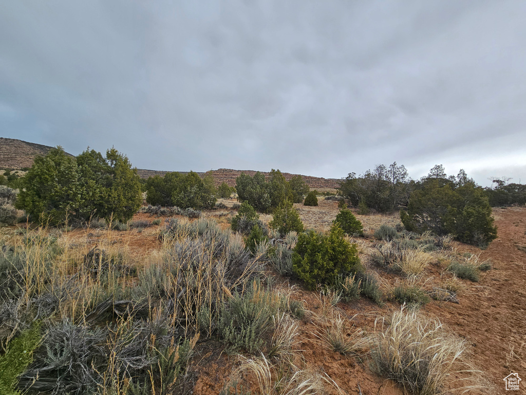 View of nature with a rural view