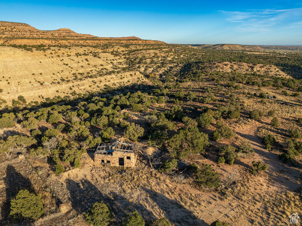 Drone / aerial view with a mountain view