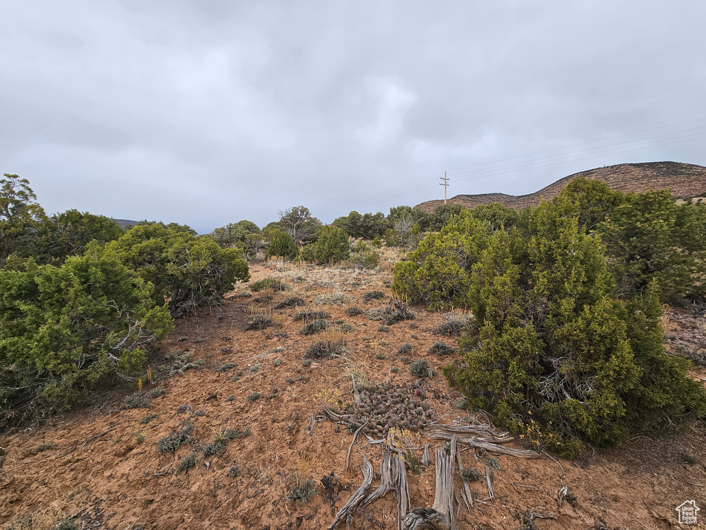 View of local wilderness featuring a rural view