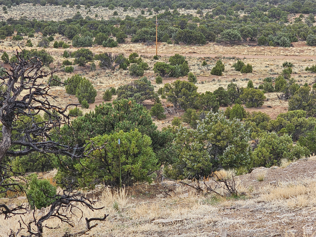 View of nature