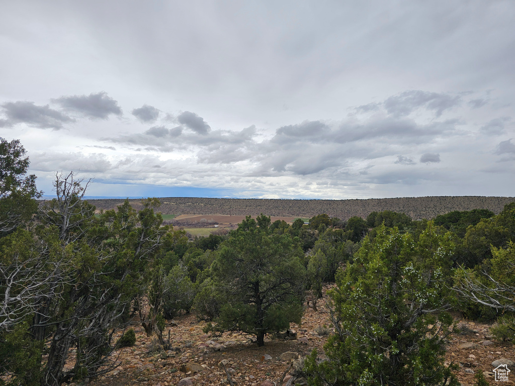 View of mountain view