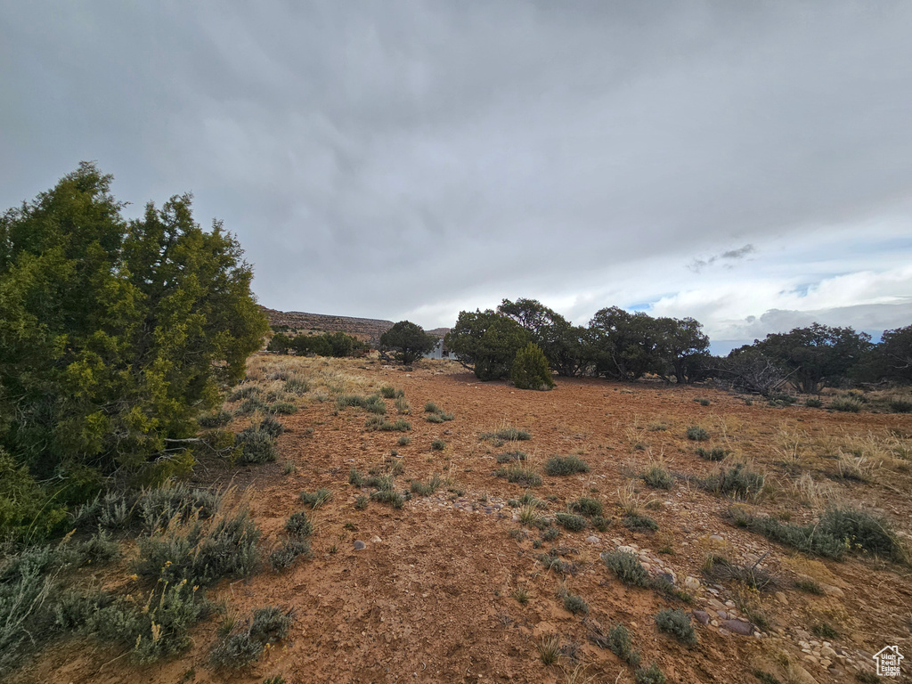 View of local wilderness