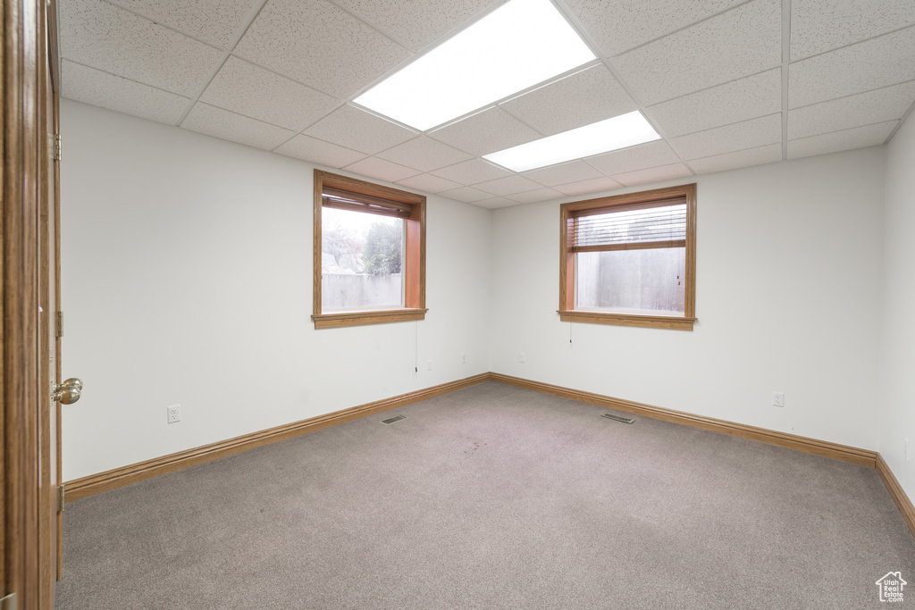 Carpeted spare room with a drop ceiling and a wealth of natural light