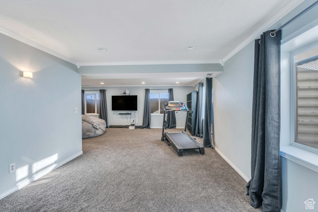 Exercise area with a wealth of natural light, crown molding, and carpet floors
