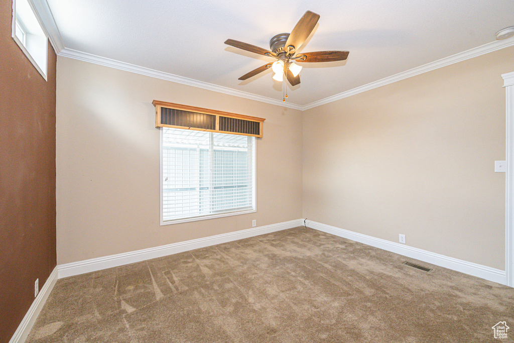 Carpeted empty room with ceiling fan and crown molding