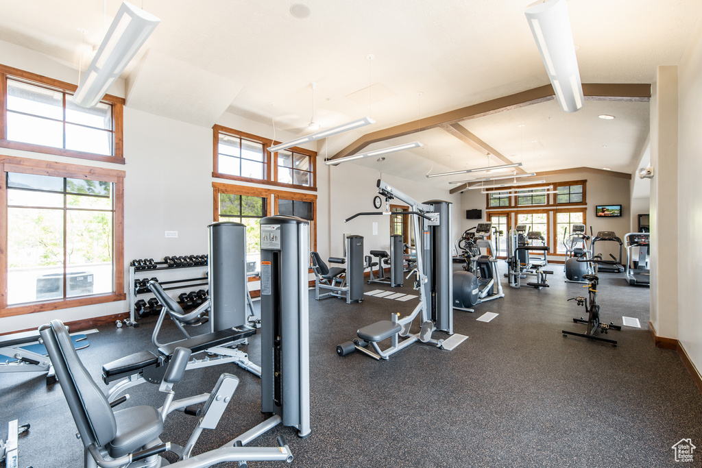 Gym featuring a wealth of natural light