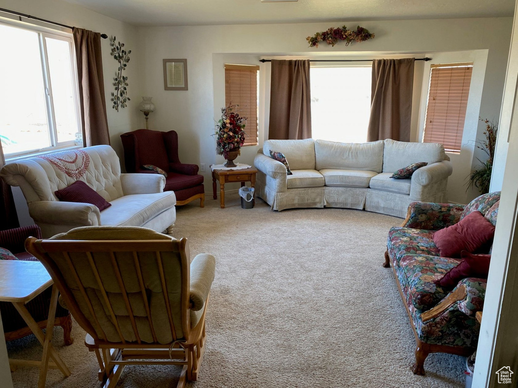 Living room featuring light colored carpet
