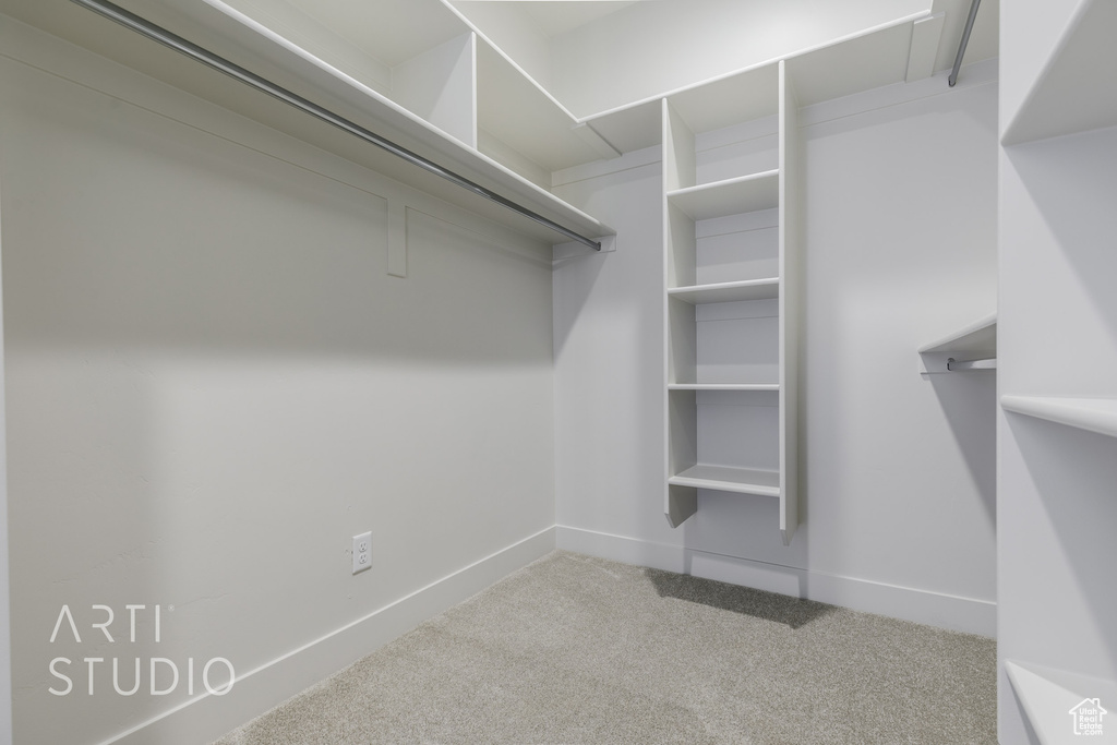 Spacious closet featuring carpet