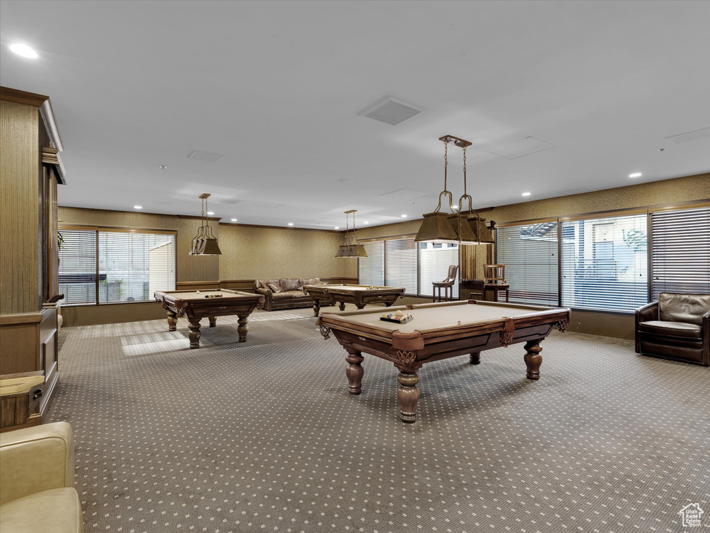 Recreation room with plenty of natural light, carpet flooring, and pool table